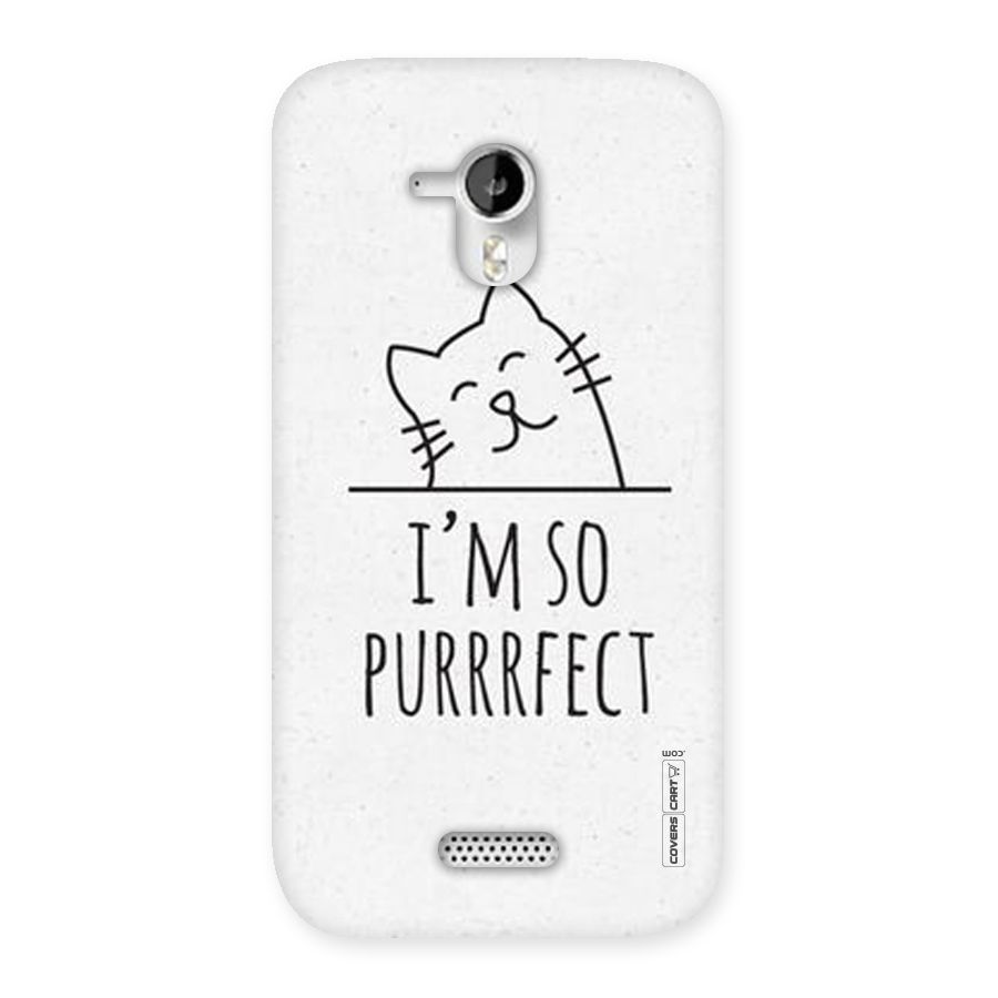 So Purrfect Back Case for Micromax Canvas HD A116