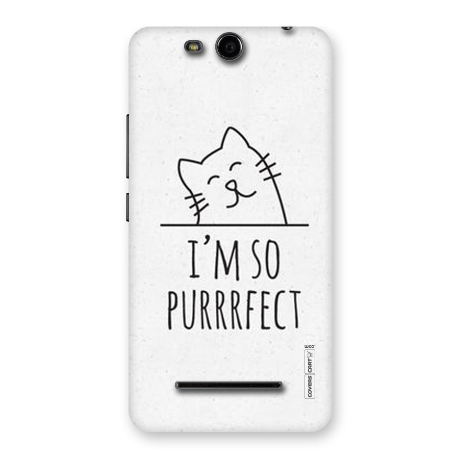 So Purrfect Back Case for Micromax Canvas Juice 3 Q392