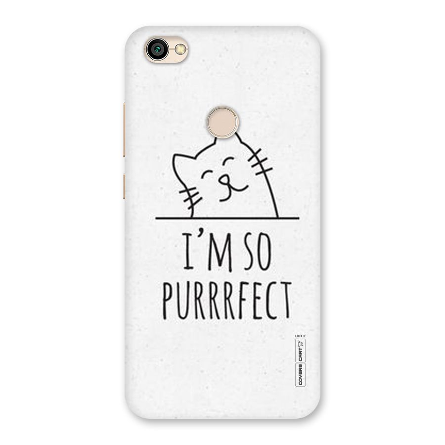 So Purrfect Back Case for Redmi Y1 2017