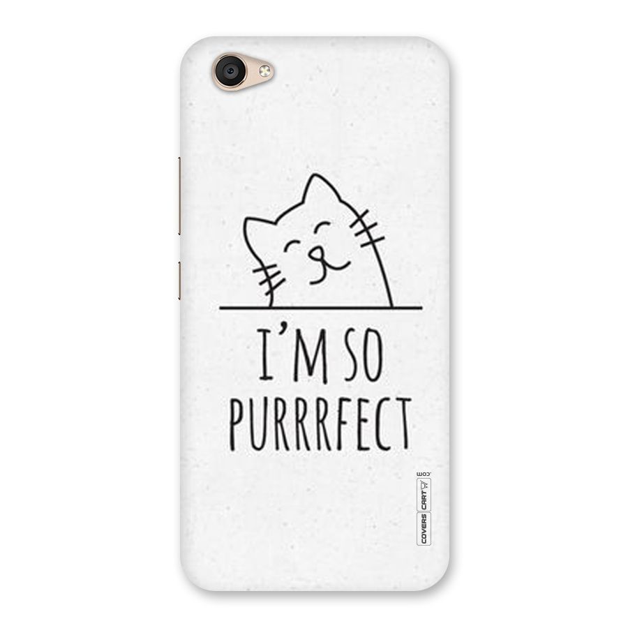 So Purrfect Back Case for Vivo V5 Plus