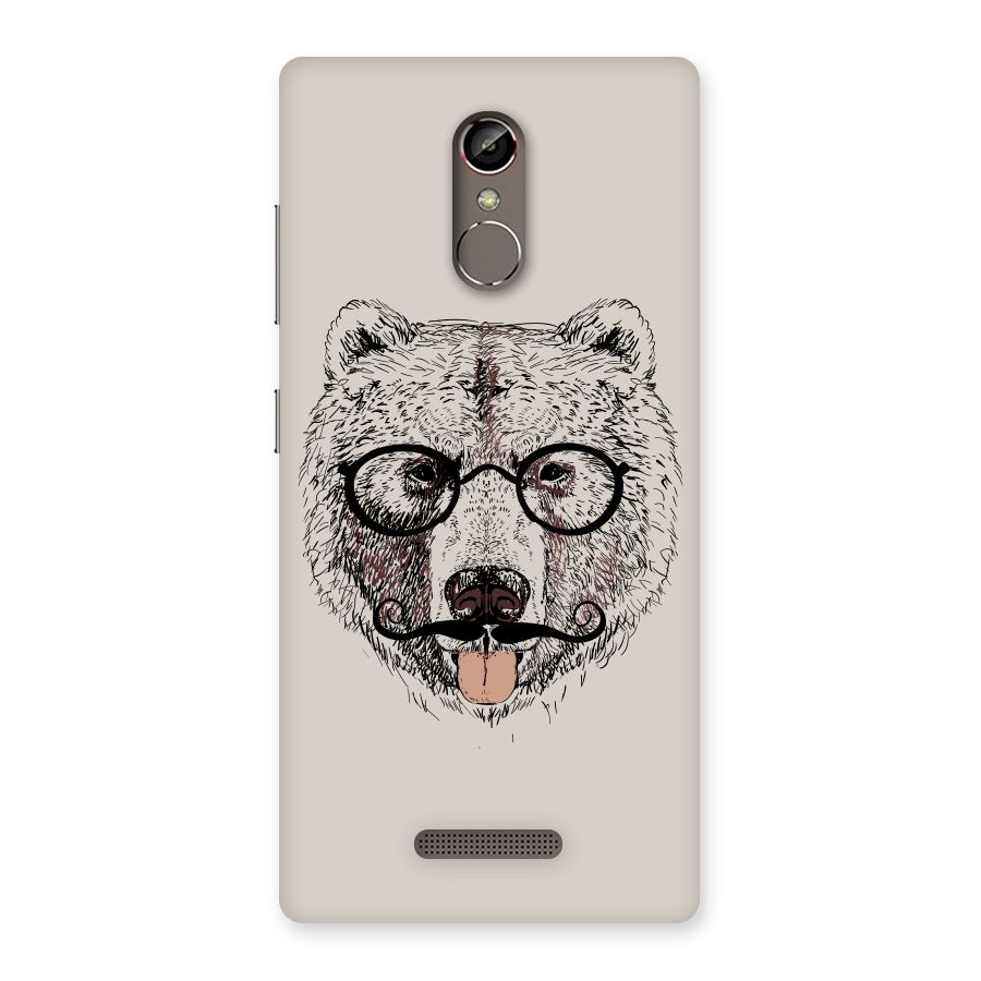 Studious Bear Back Case for Gionee S6s
