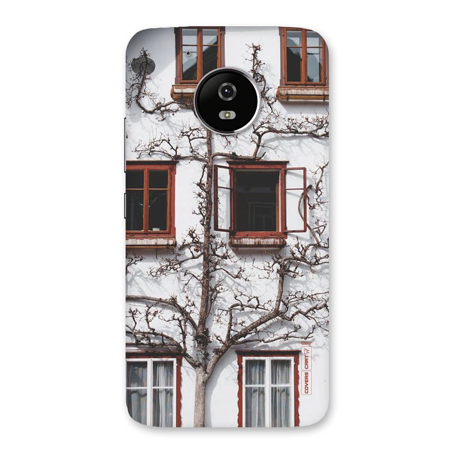 Tree House Back Case for Moto G5