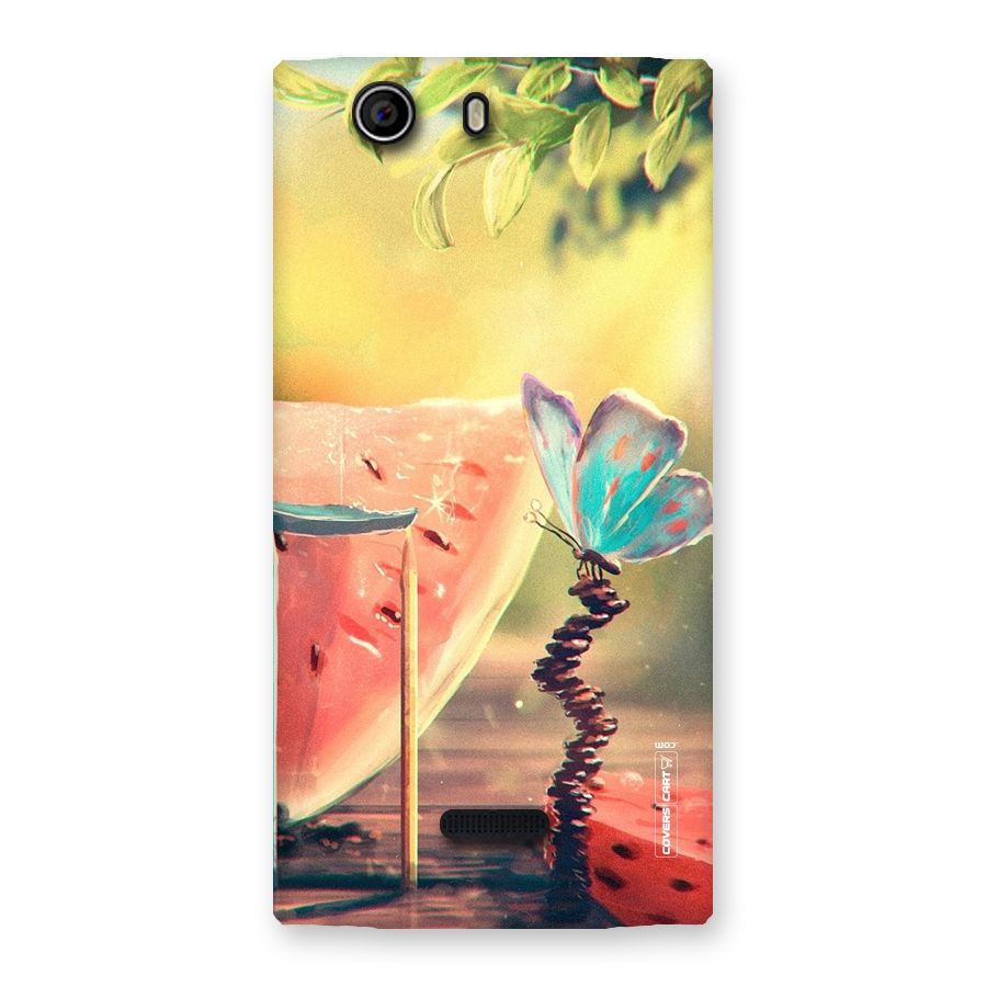 Watermelon Butterfly Back Case for Canvas Nitro 2 E311