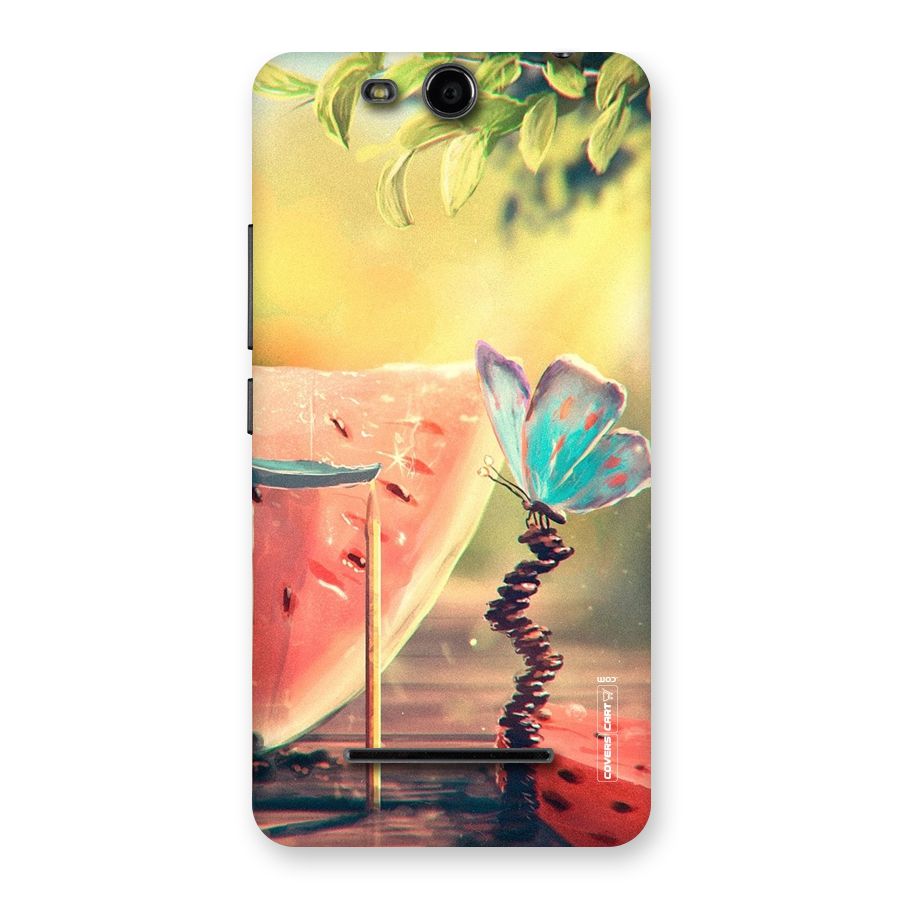 Watermelon Butterfly Back Case for Micromax Canvas Juice 3 Q392