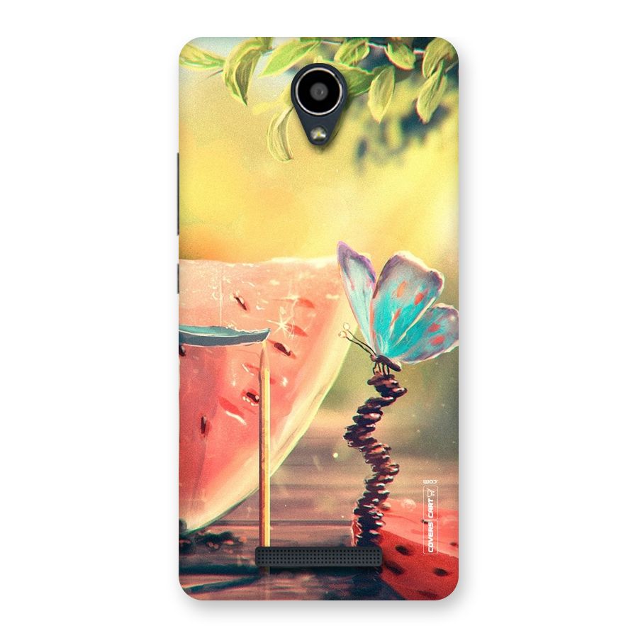 Watermelon Butterfly Back Case for Redmi Note 2