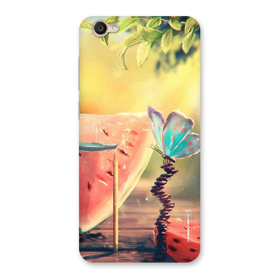 Watermelon Butterfly Back Case for Vivo Y55L