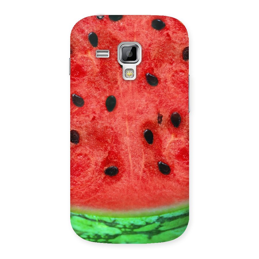 Watermelon Design Back Case for Galaxy S Duos
