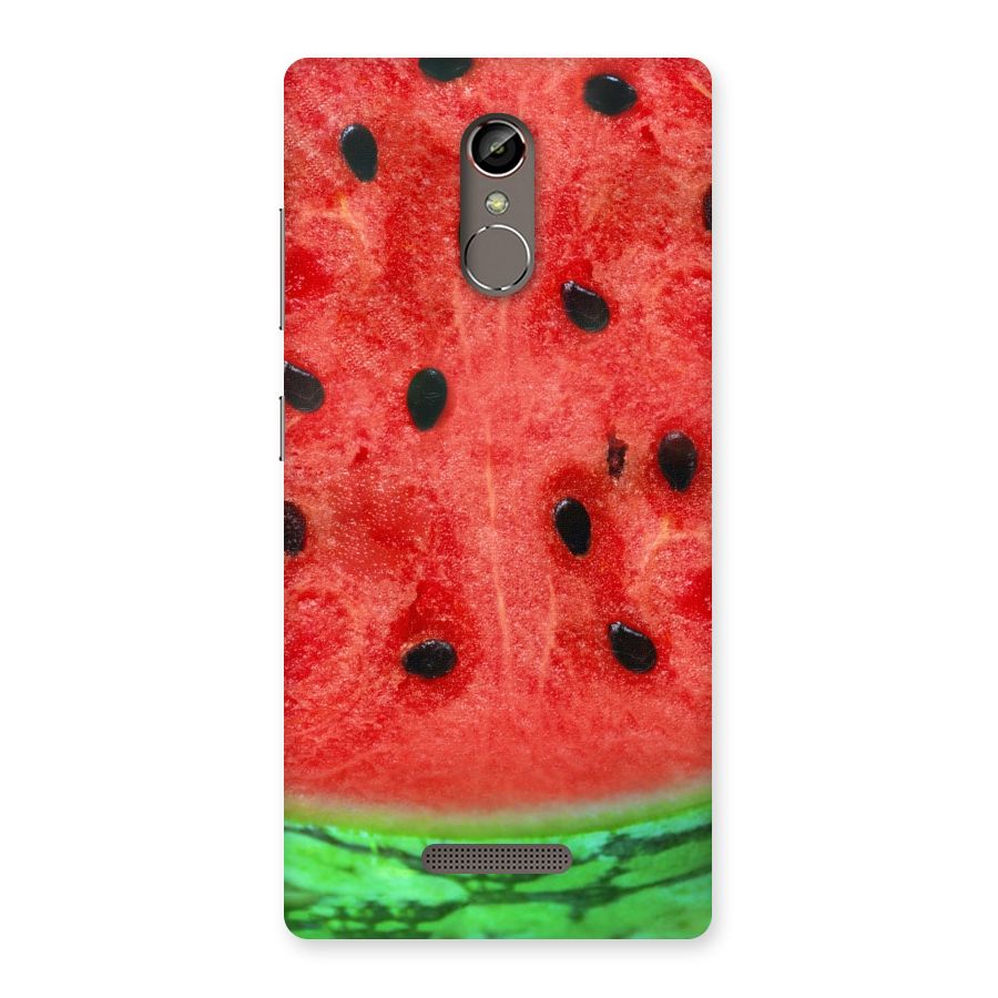 Watermelon Design Back Case for Gionee S6s