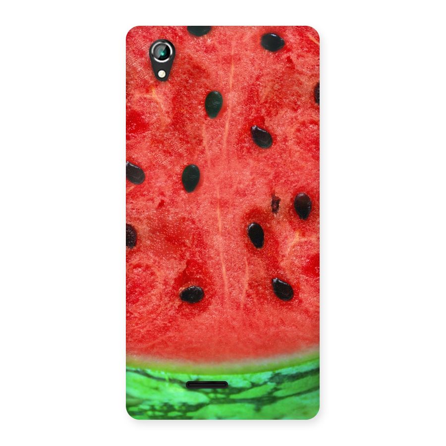 Watermelon Design Back Case for Lava Iris 800