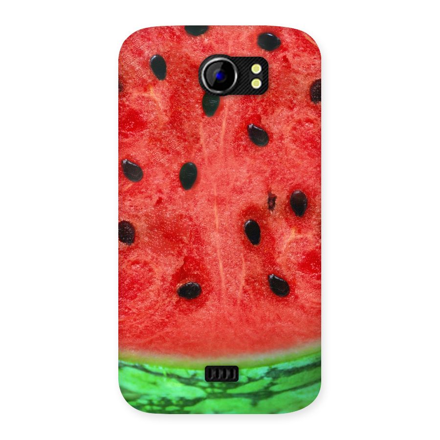 Watermelon Design Back Case for Micromax Canvas 2 A110