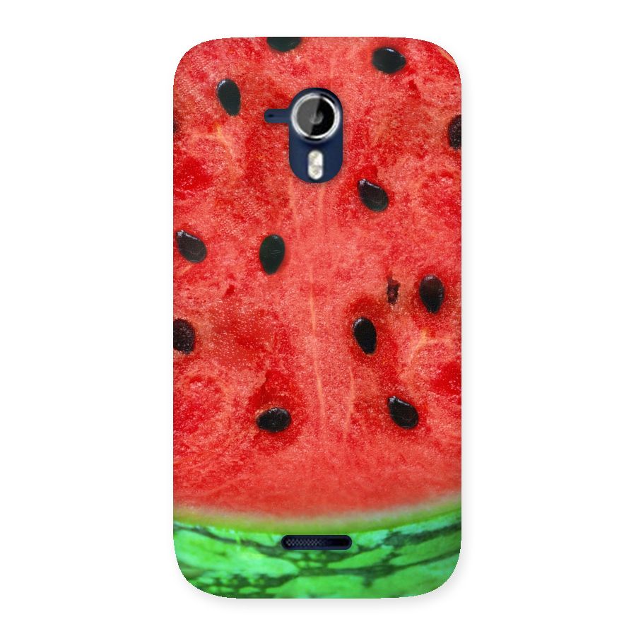 Watermelon Design Back Case for Micromax Canvas Magnus A117