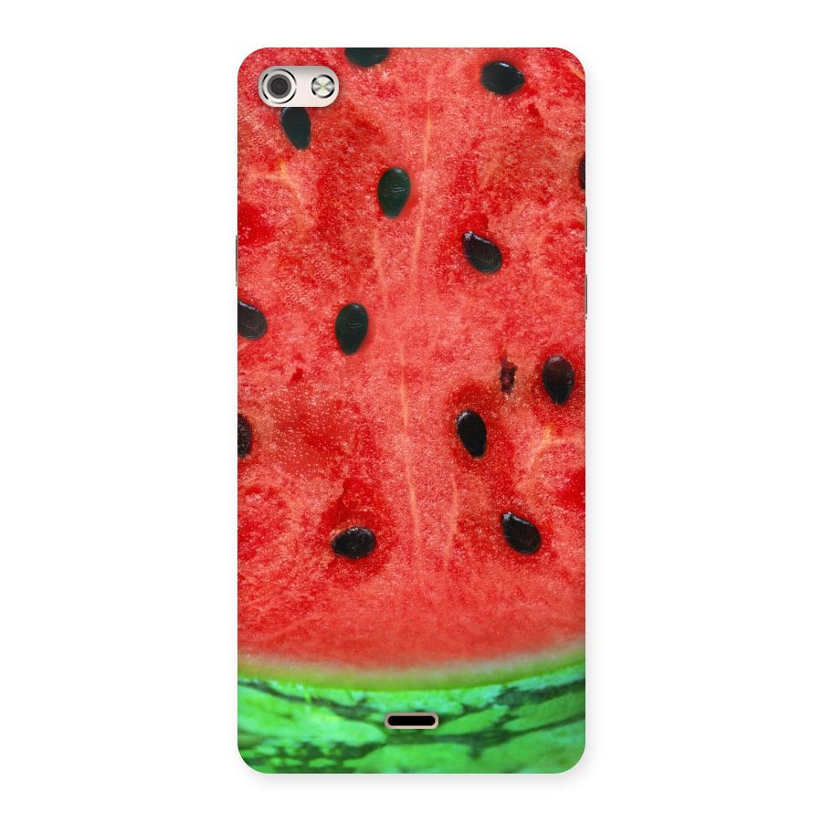 Watermelon Design Back Case for Micromax Canvas Silver 5