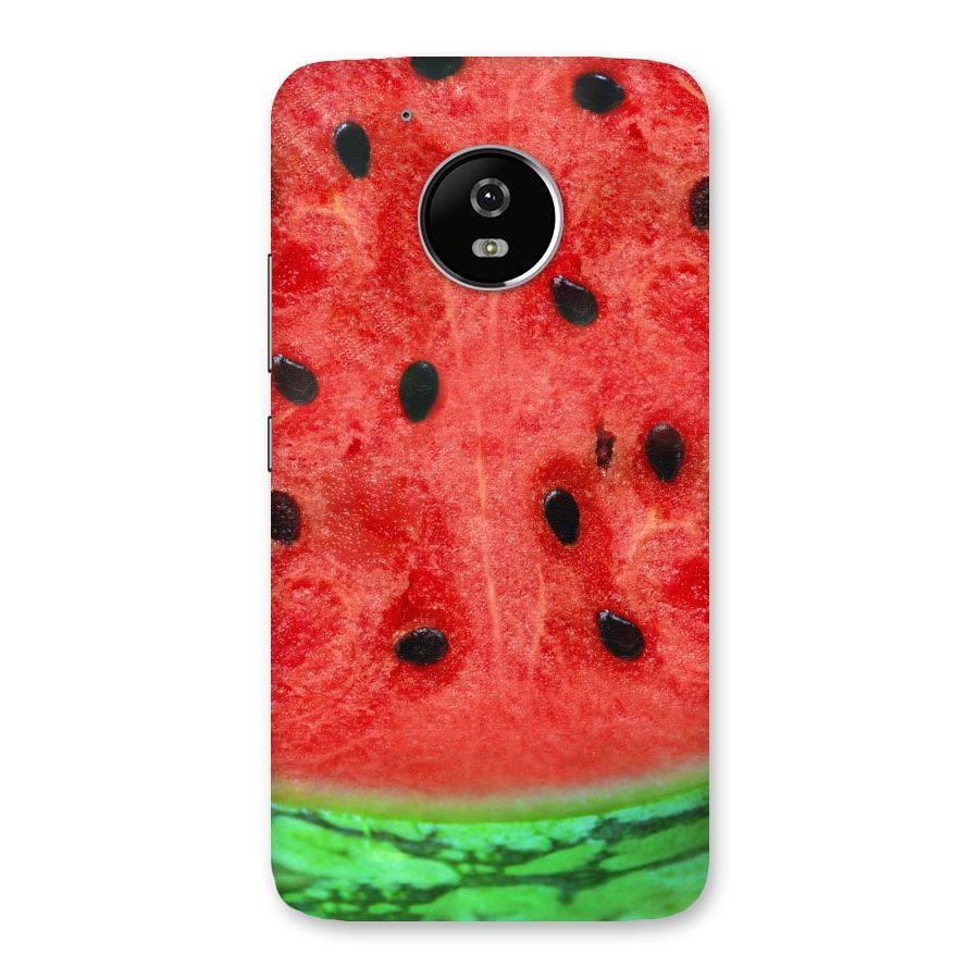 Watermelon Design Back Case for Moto G5