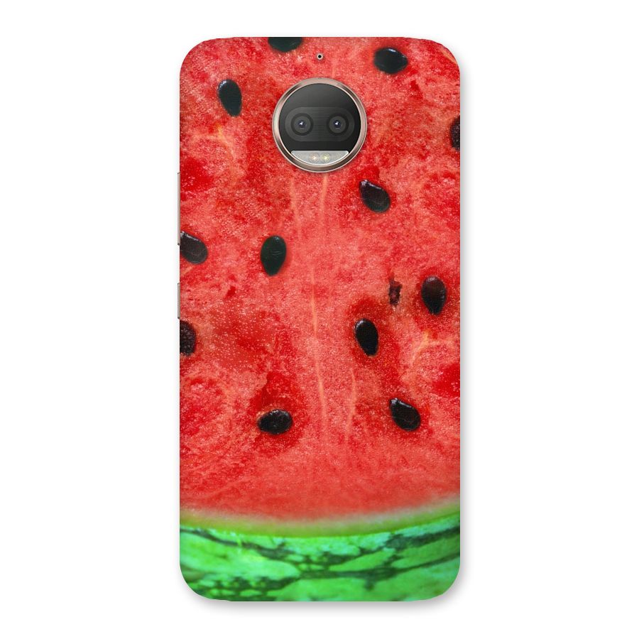 Watermelon Design Back Case for Moto G5s Plus