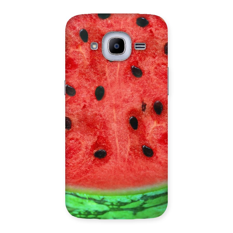 Watermelon Design Back Case for Samsung Galaxy J2 2016