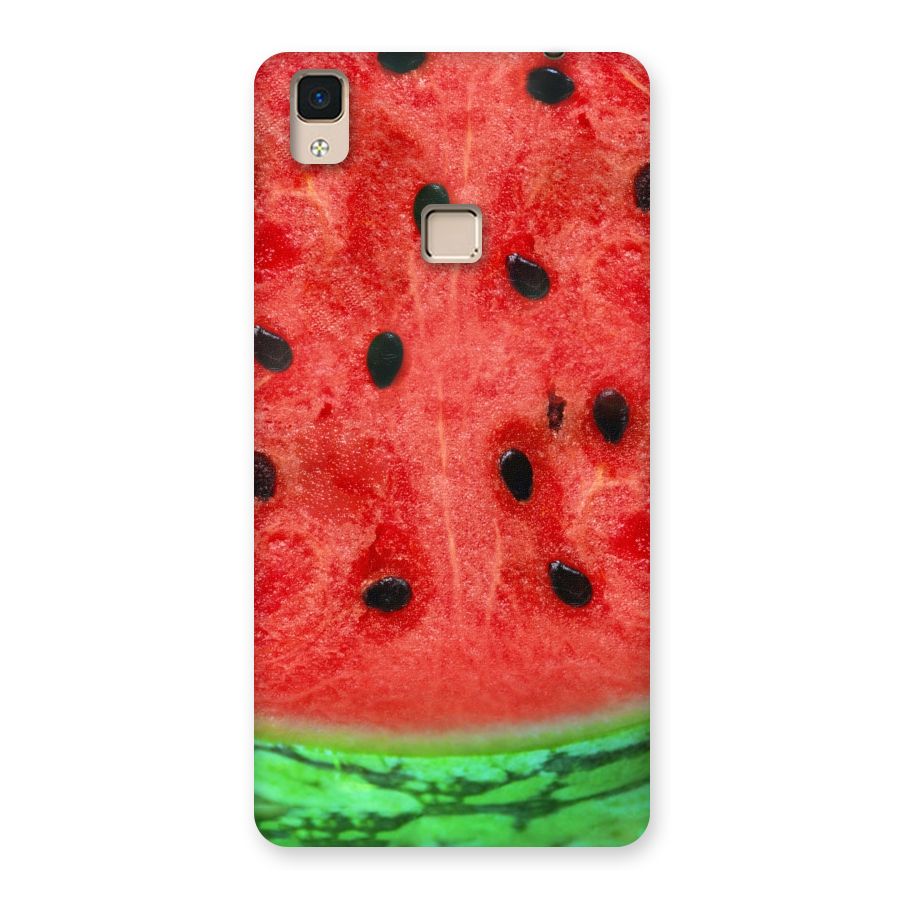 Watermelon Design Back Case for V3 Max