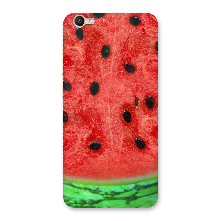 Watermelon Design Back Case for Vivo V5