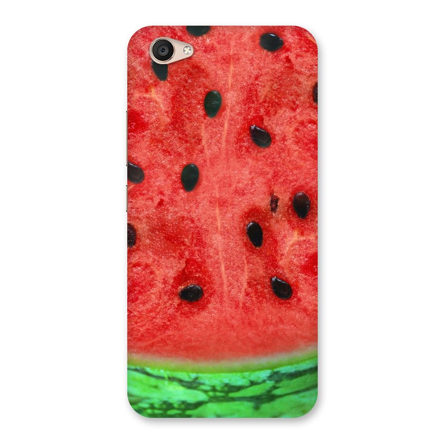 Watermelon Design Back Case for Vivo V5 Plus
