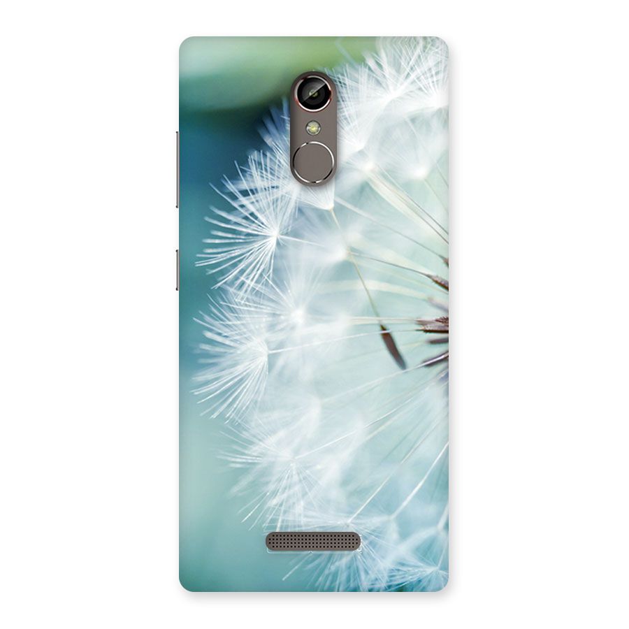 Wish Floral Back Case for Gionee S6s