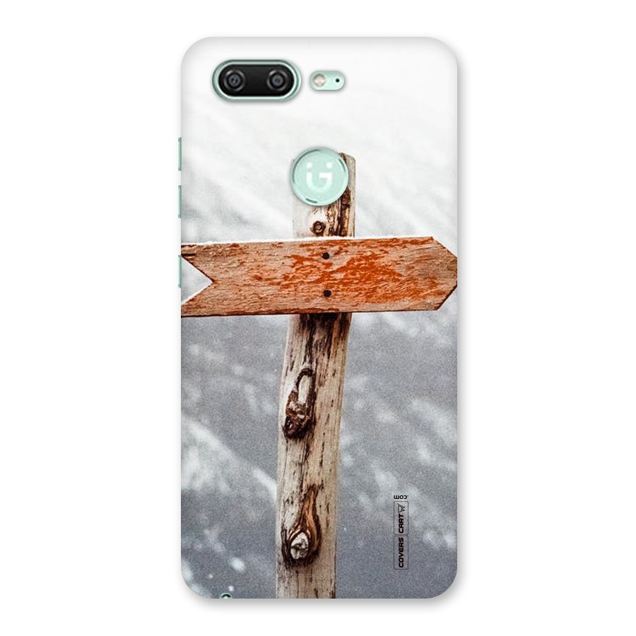 Wood And Snow Back Case for Gionee S10