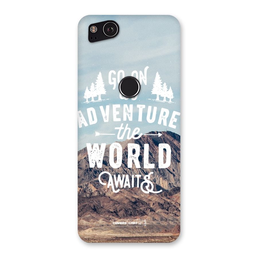 Adventure World Back Case for Google Pixel 2