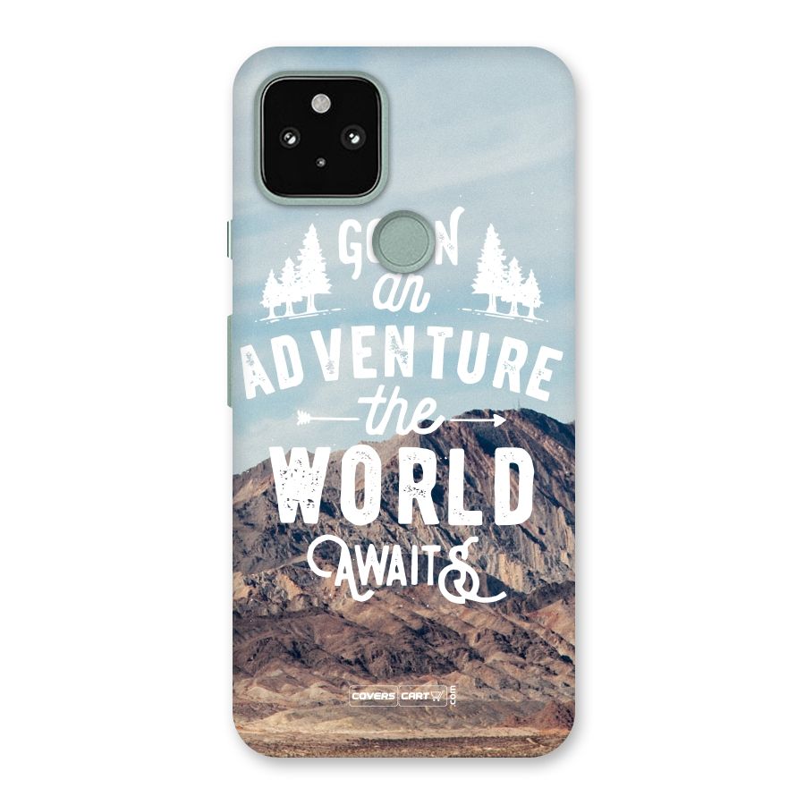 Adventure World Back Case for Google Pixel 5