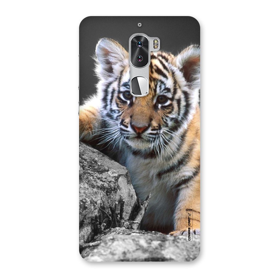 Animal Beauty Back Case for Coolpad Cool 1