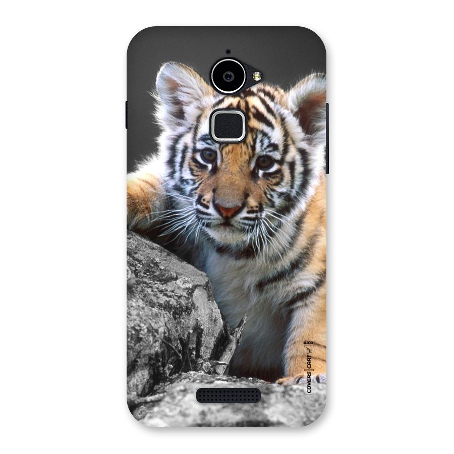 Animal Beauty Back Case for Coolpad Note 3 Lite