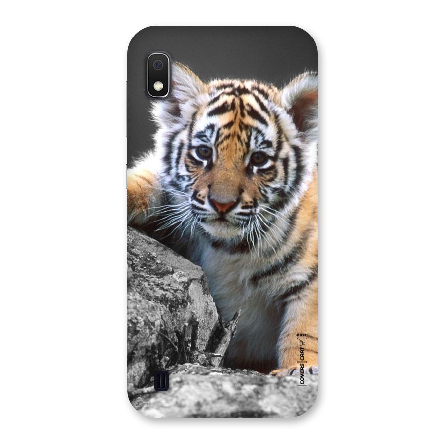 Animal Beauty Back Case for Galaxy A10