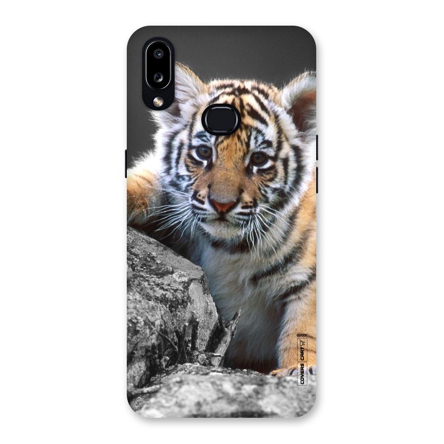 Animal Beauty Back Case for Galaxy A10s
