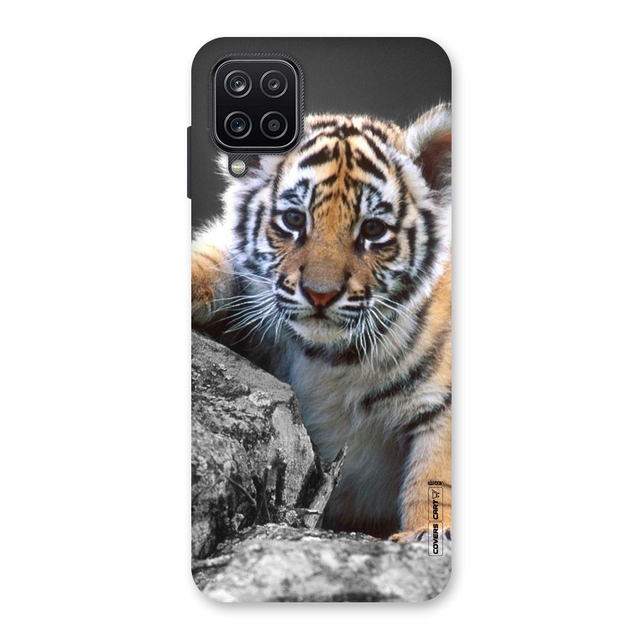 Animal Beauty Back Case for Galaxy A12
