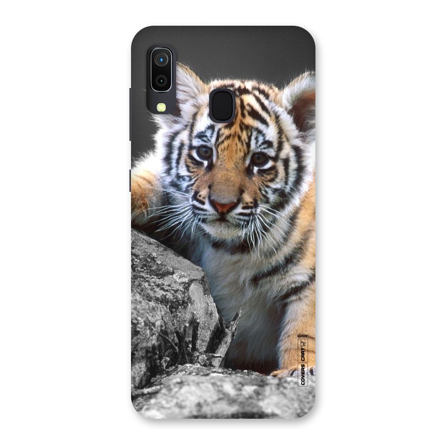 Animal Beauty Back Case for Galaxy A20
