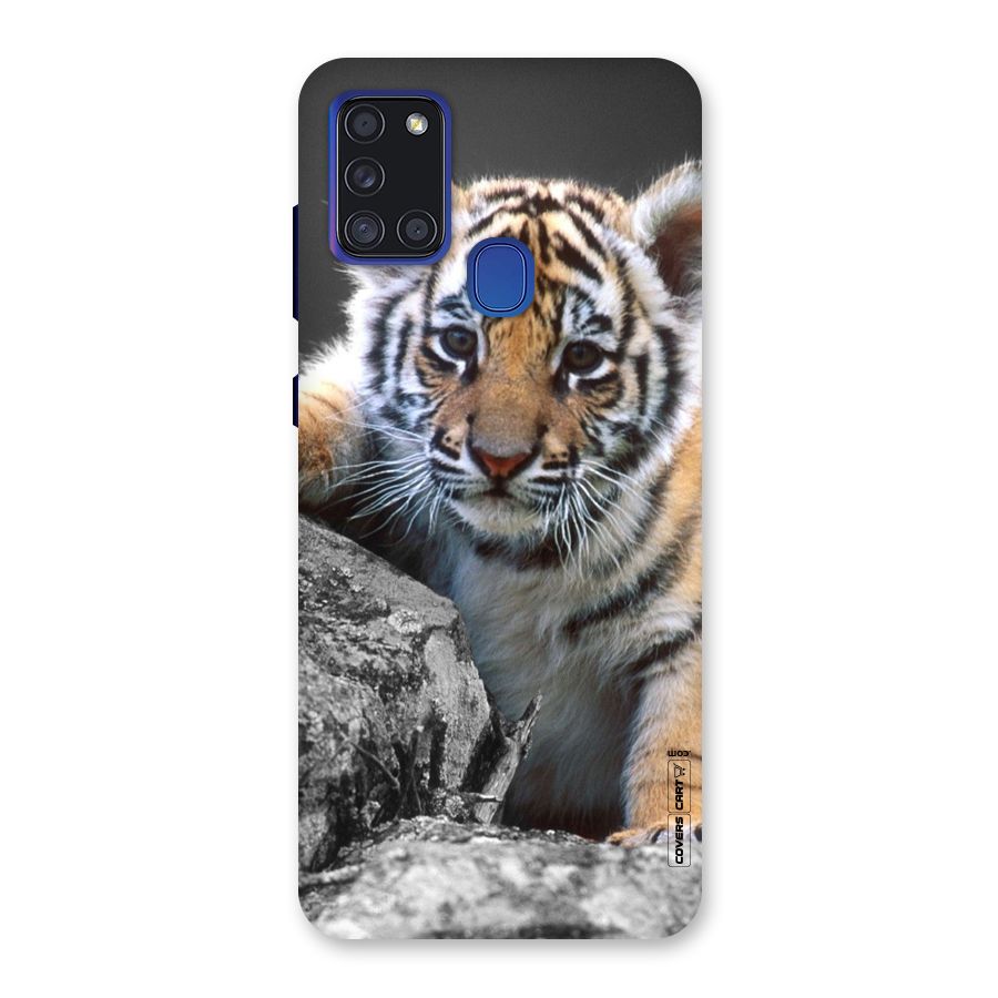 Animal Beauty Back Case for Galaxy A21s