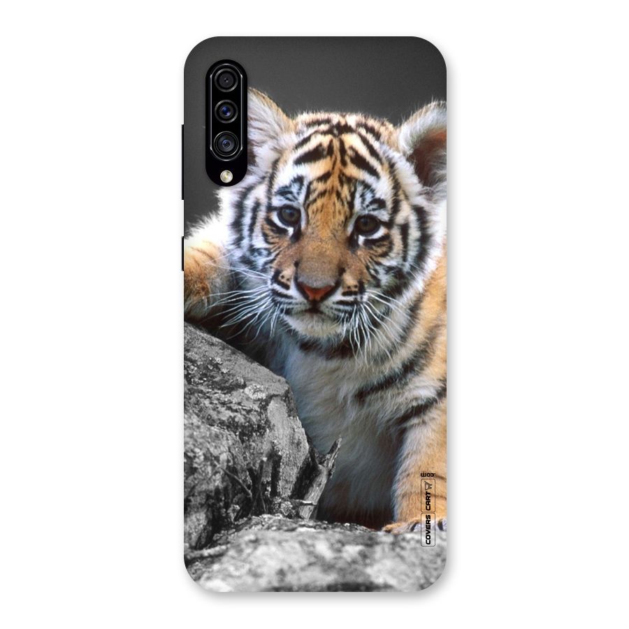 Animal Beauty Back Case for Galaxy A30s