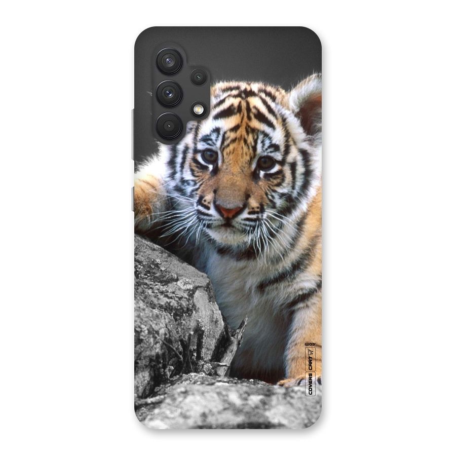 Animal Beauty Back Case for Galaxy A32