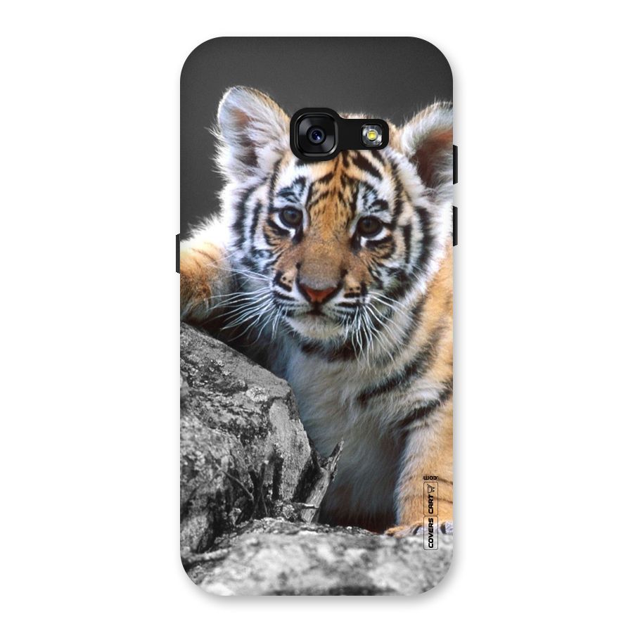 Animal Beauty Back Case for Galaxy A3 (2017)