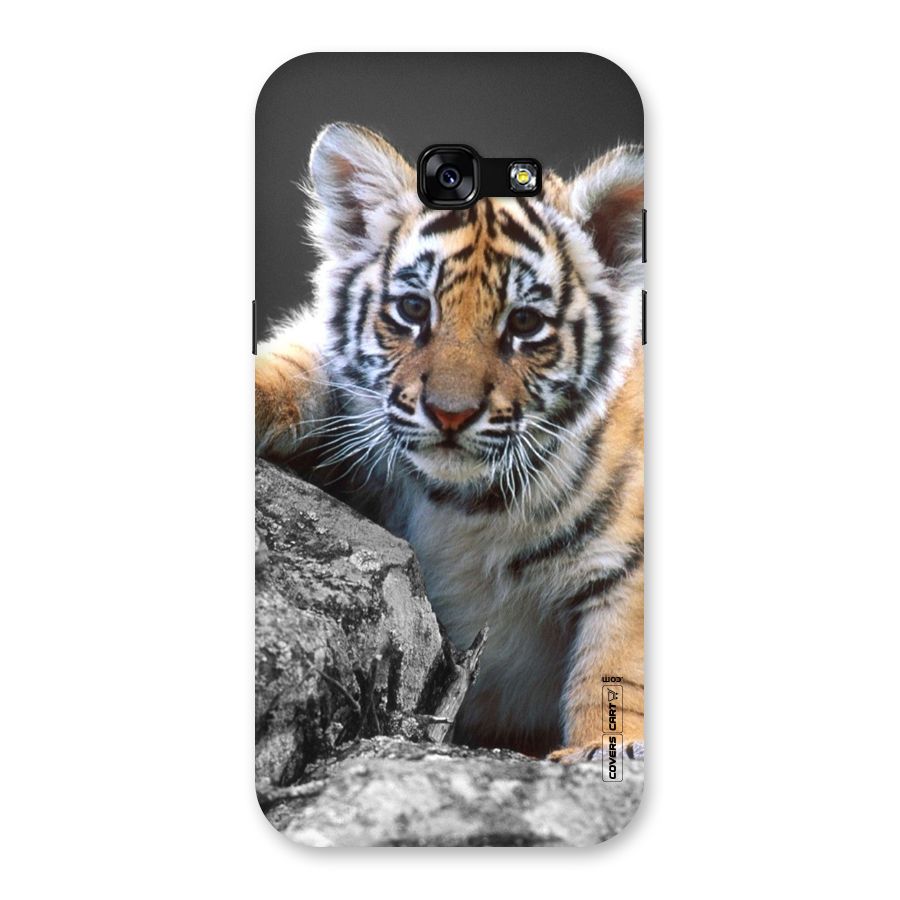Animal Beauty Back Case for Galaxy A5 2017