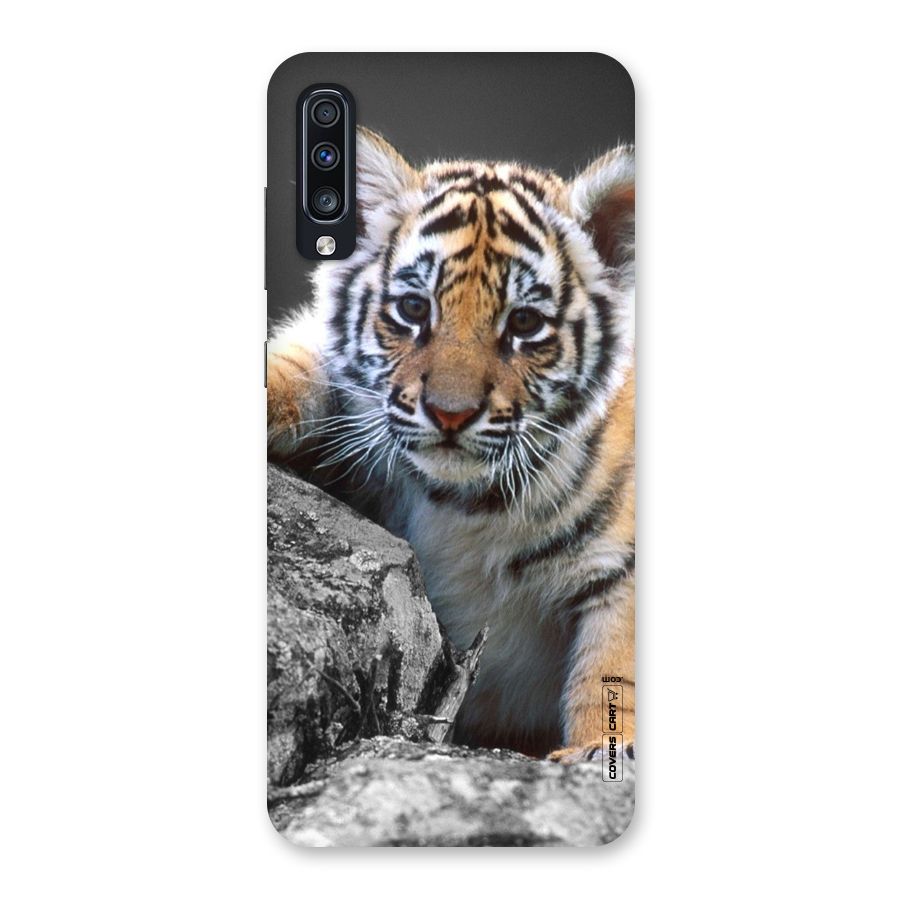 Animal Beauty Back Case for Galaxy A70