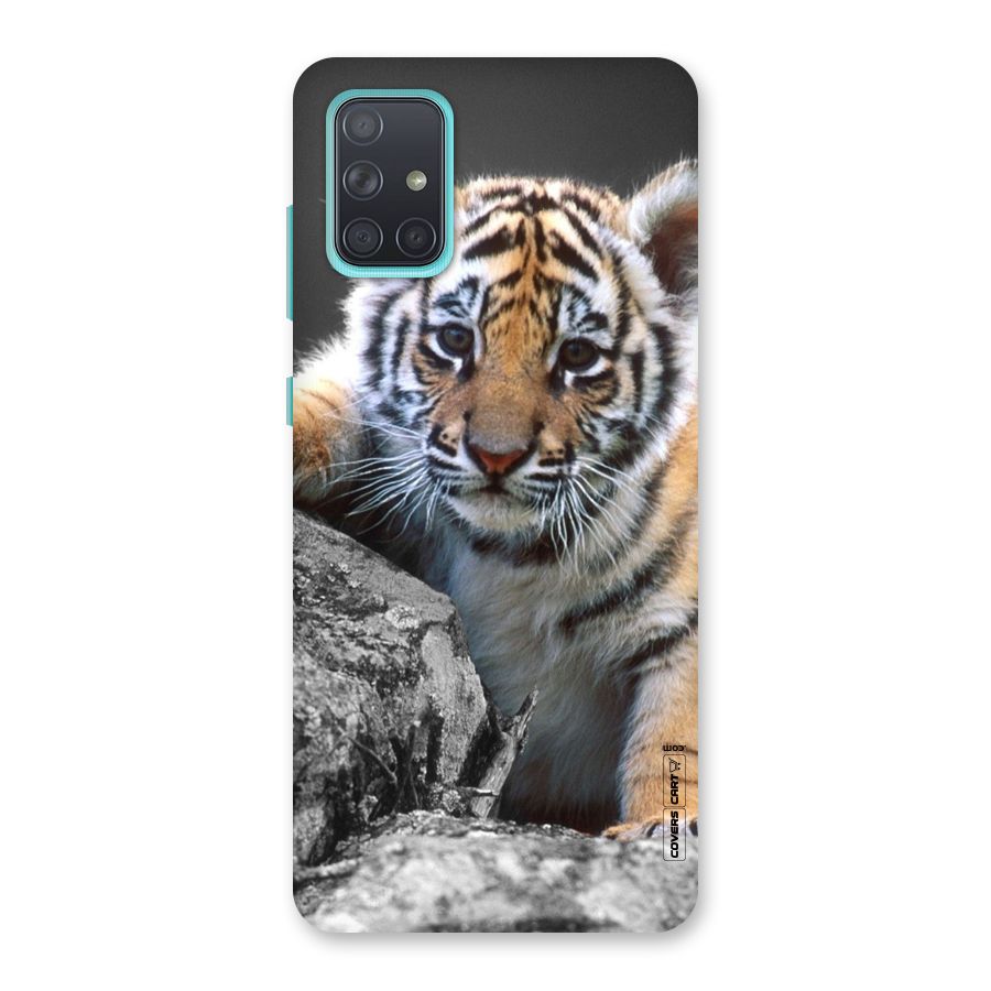 Animal Beauty Back Case for Galaxy A71