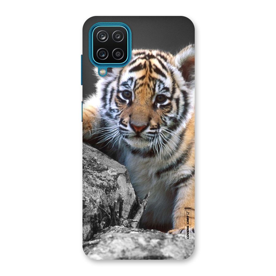 Animal Beauty Back Case for Galaxy F12