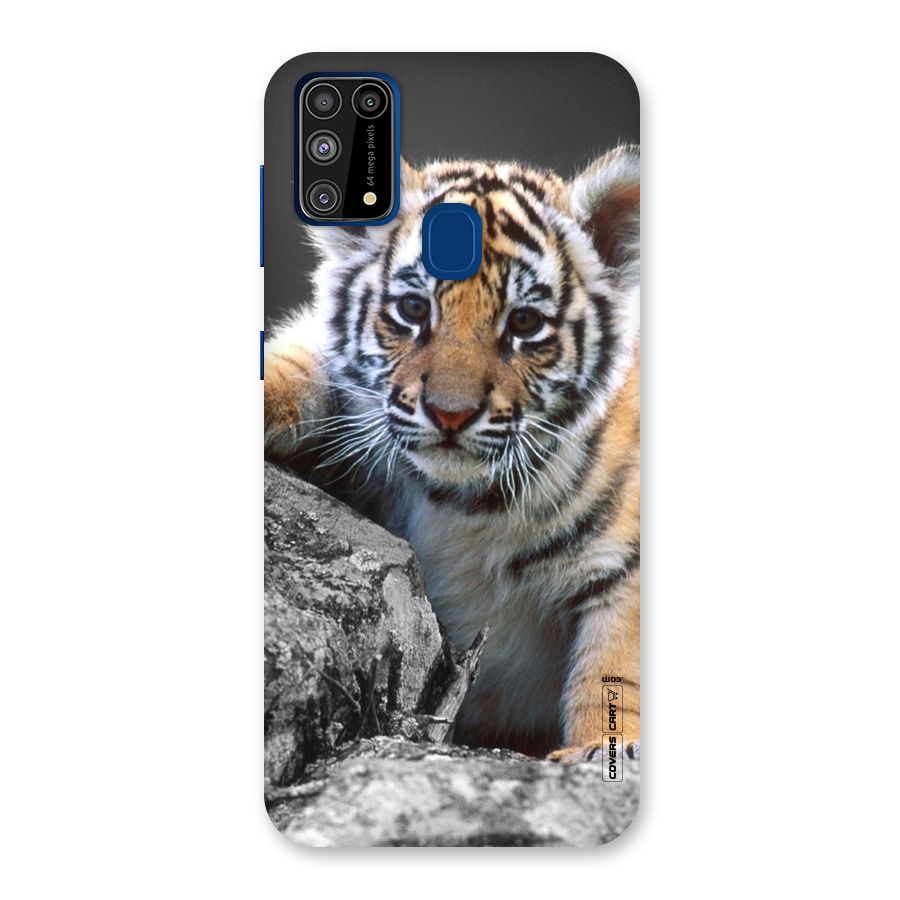 Animal Beauty Back Case for Galaxy F41