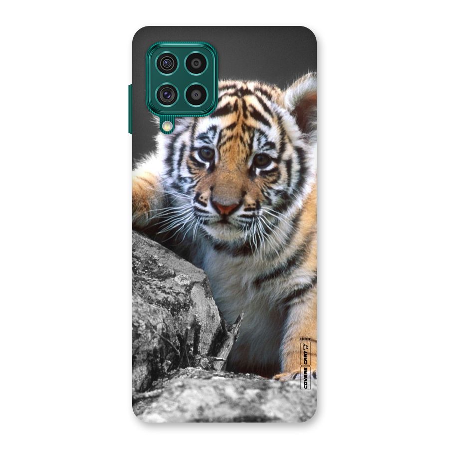 Animal Beauty Back Case for Galaxy F62