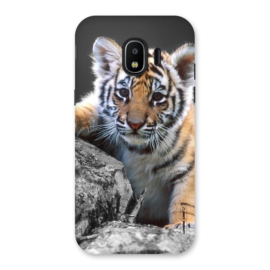 Animal Beauty Back Case for Galaxy J2 Pro 2018