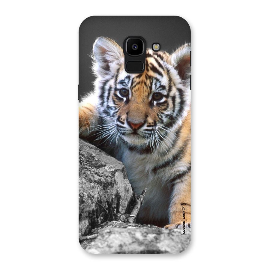 Animal Beauty Back Case for Galaxy J6