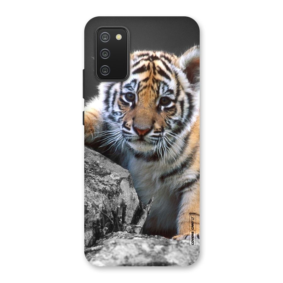 Animal Beauty Back Case for Galaxy M02s