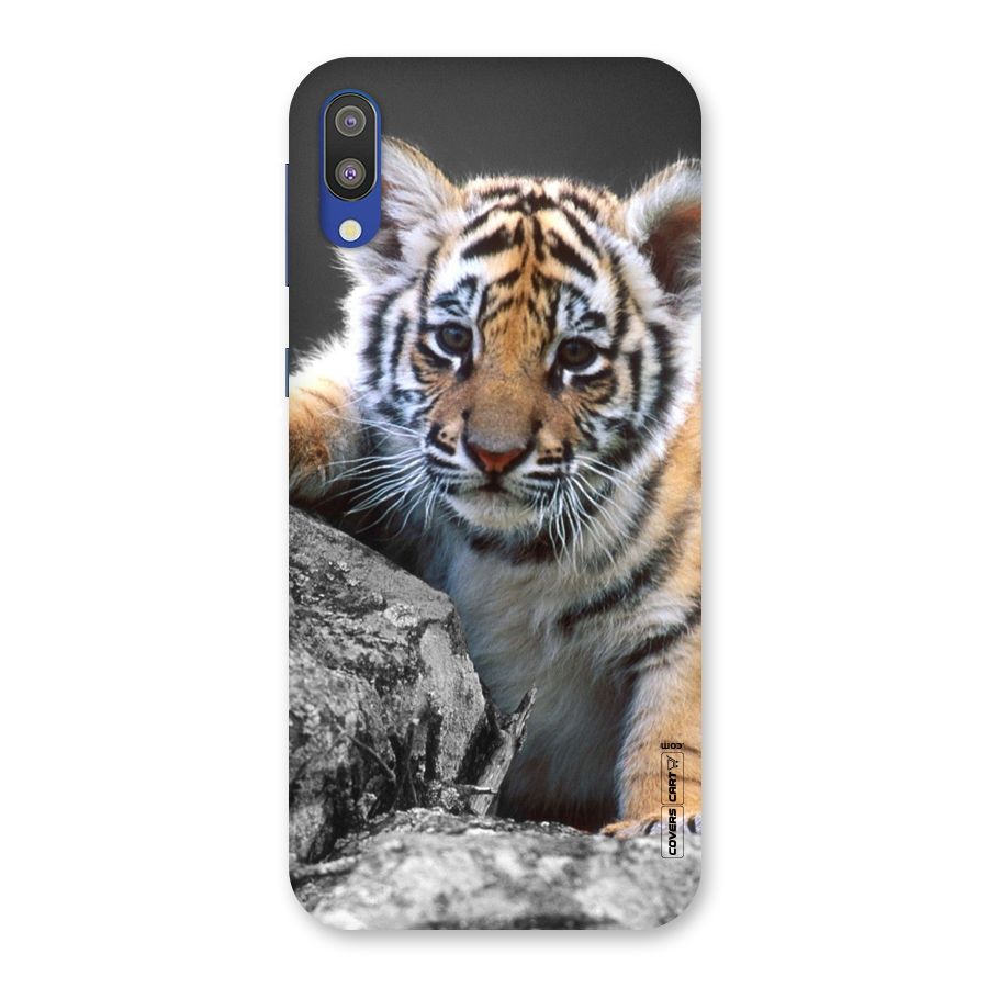 Animal Beauty Back Case for Galaxy M10