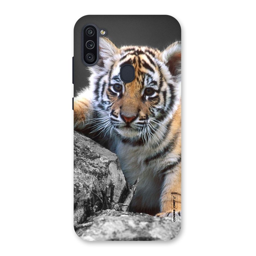 Animal Beauty Back Case for Galaxy M11