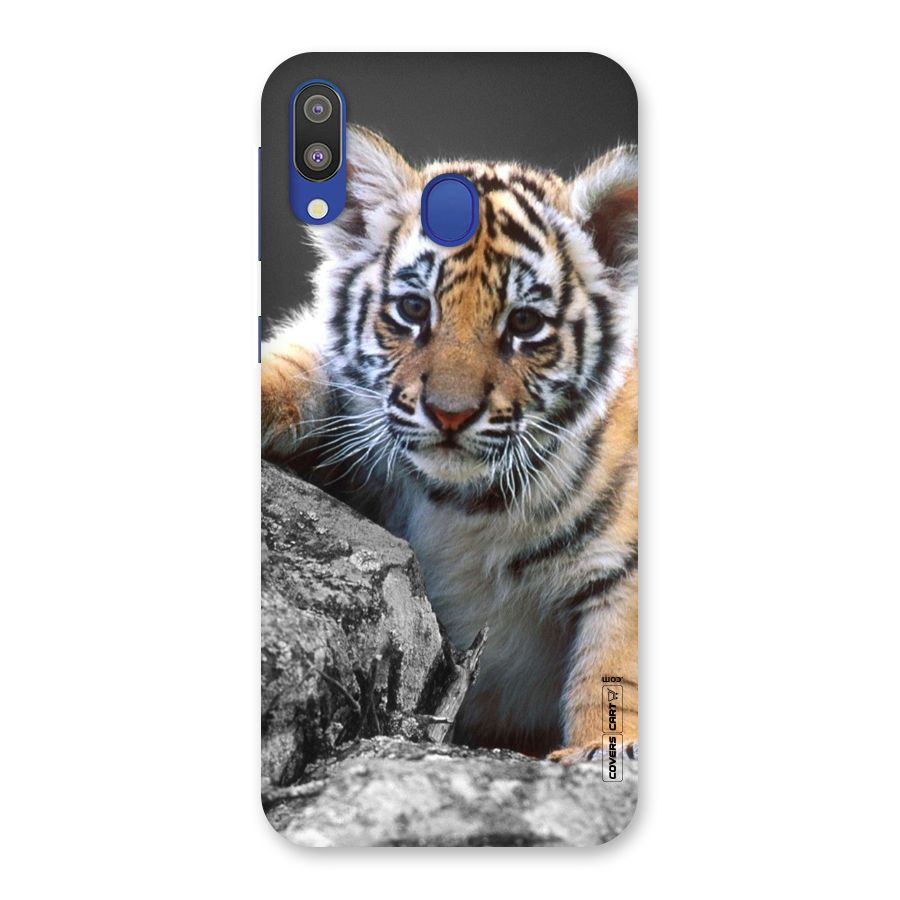 Animal Beauty Back Case for Galaxy M20