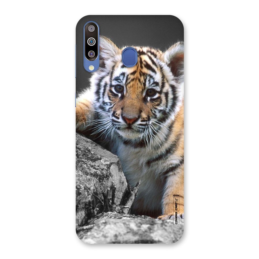Animal Beauty Back Case for Galaxy M30