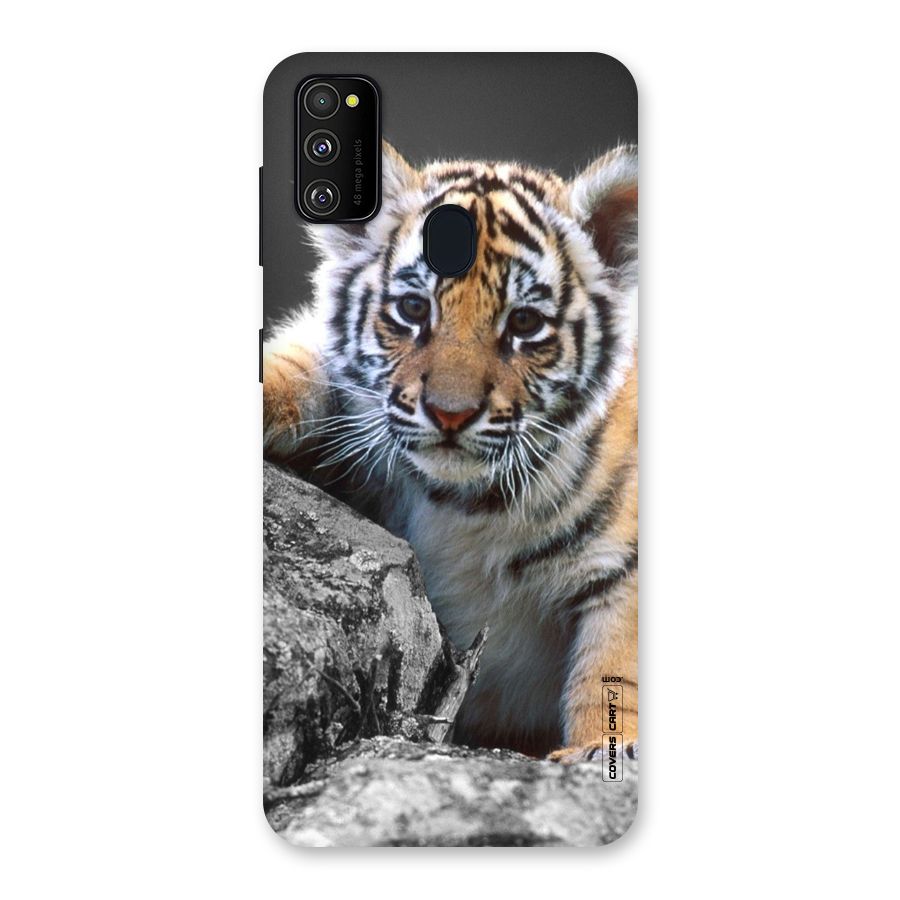 Animal Beauty Back Case for Galaxy M30s
